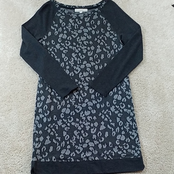 ANN TAYLOR LOFT Women's Dress. - Picture 11 of 12